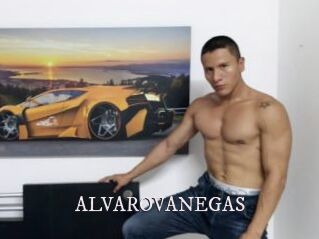 ALVAROVANEGAS