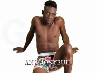 ANTHONYBUIL