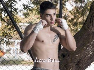 AdamBull