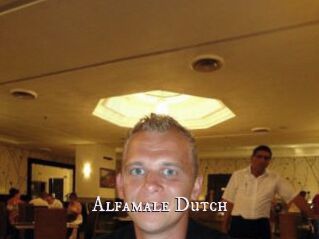 Alfamale_Dutch