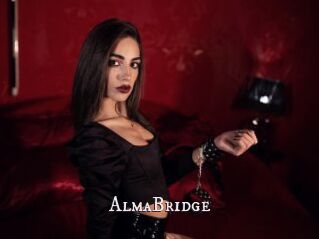AlmaBridge