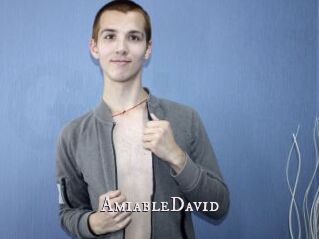 AmiableDavid