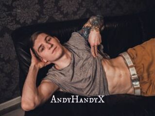 AndyHandyX