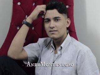 AndyMontenegro