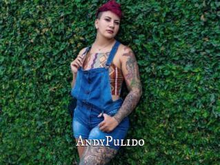 AndyPulido