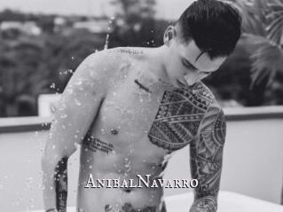 AnibalNavarro