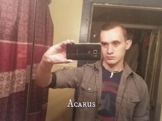 Acarus