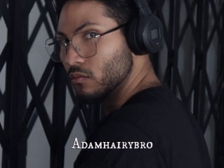 Adamhairybro