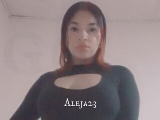Aleja23