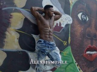 Alexbigmuscle