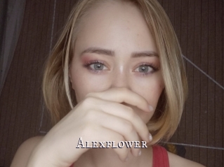 Alexflower