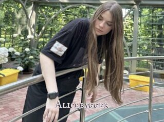 Alicebagger