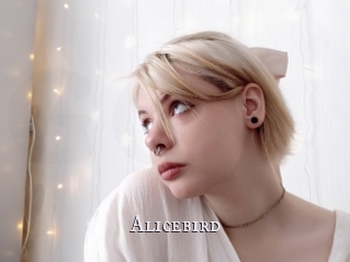 Alicebird