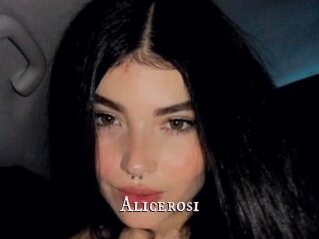 Alicerosi