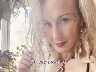 Alicesjungalo