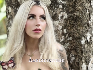 Ameliebriidge