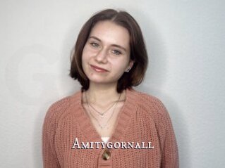 Amitygornall