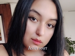 Andy_sout