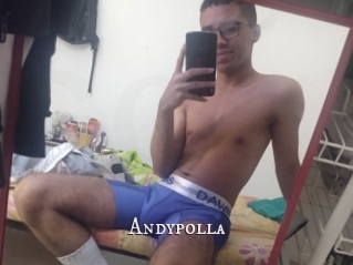 Andypolla