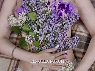 Angelofgrom