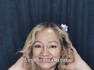 Anthonellamature