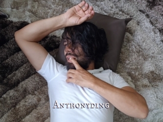Anthonyding