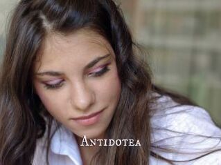 Antidotea