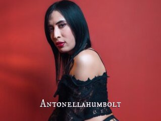 Antonellahumbolt