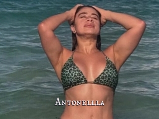 Antonellla