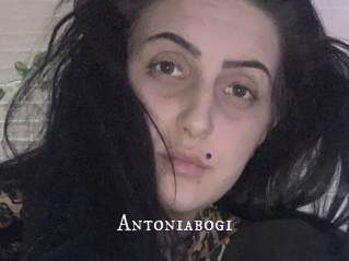 Antoniabogi