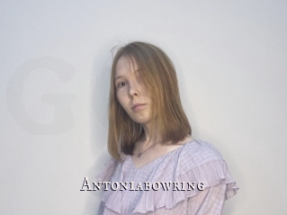 Antoniabowring
