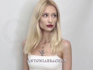 Antoniabracher