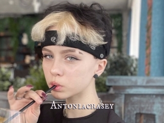 Antoniachasey