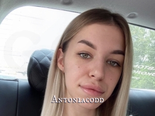 Antoniacodd