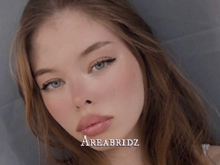 Areabridz