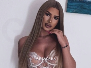 Ariacara