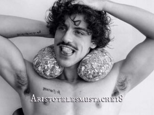 Aristotelesmustache18