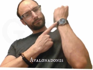 Avalonadonis
