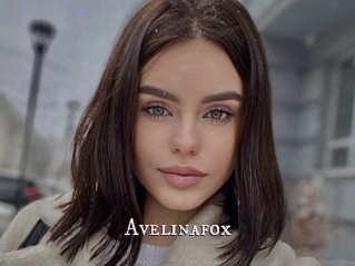 Avelinafox