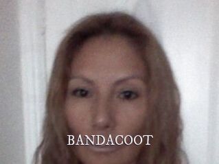 BANDACOOT
