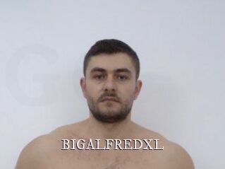 BIGALFREDXL
