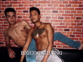 BIG_COCKS_HUNG