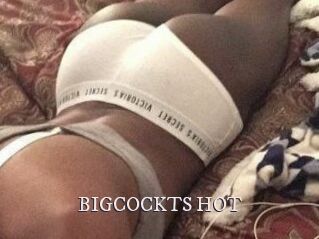 BIGCOCKTS_HOT