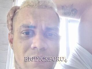 BIGDICKFORU4