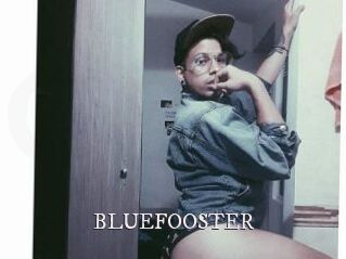 BLUEFOOSTER
