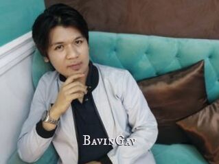 BavinGav