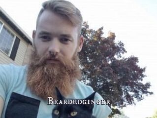 Beardedginger