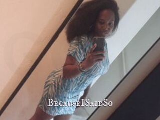BecauseISaidSo
