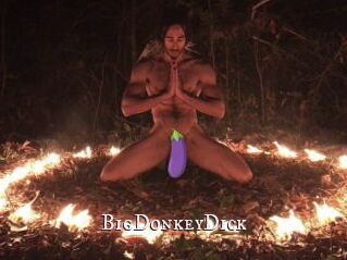 BigDonkeyDick