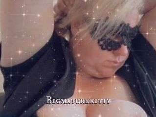 Bigmaturekitty